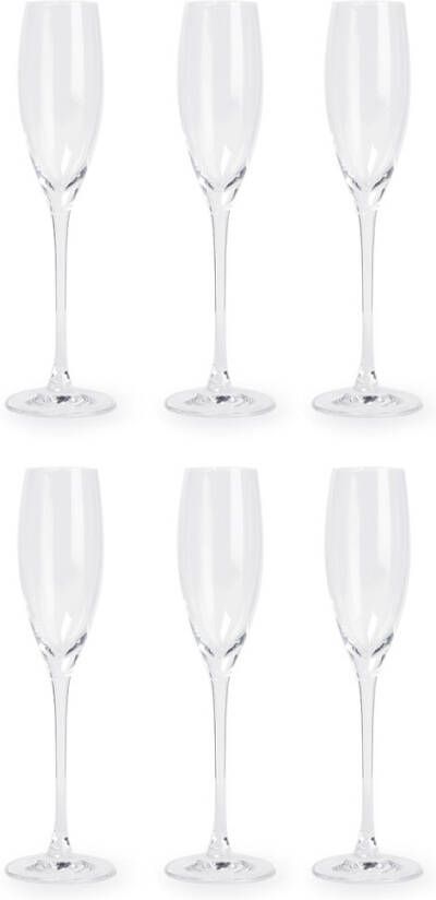 LEONARDO Champagneglas Cheers 220 ml, 6 delig(set )