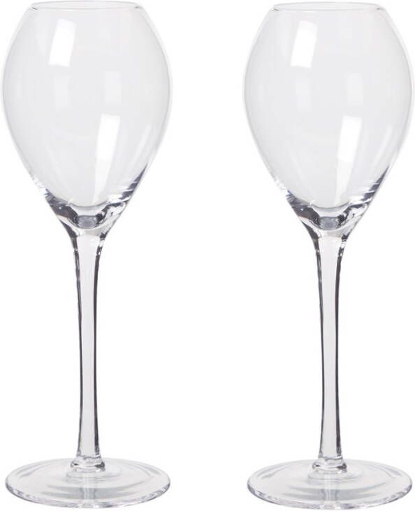 Sagaform Saga champagneglas 20 cl set van 2