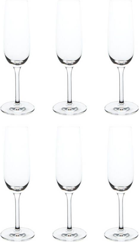 Schott Zwiesel Champagneglazen Banquet 210 Ml 6 Stuks