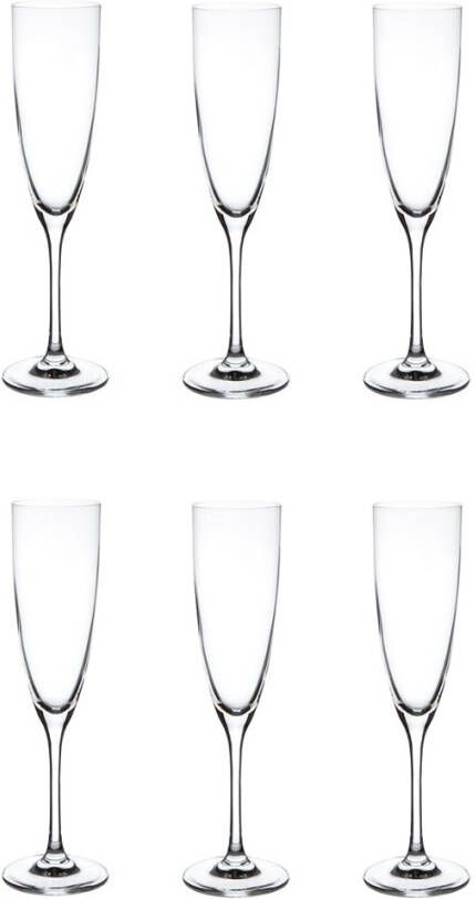 Schott Zwiesel Classico Champagneglazen 0, 21 L 6 st.