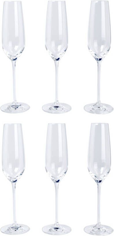 Schott Zwiesel Fortissimo Champagneglas 7 0, 24 l, per 6
