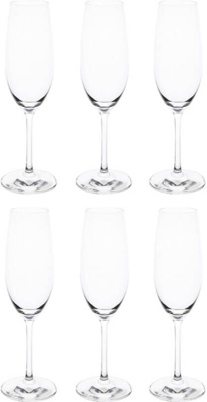 Schott Zwiesel Ivento champagneglas 22 cl set van 6