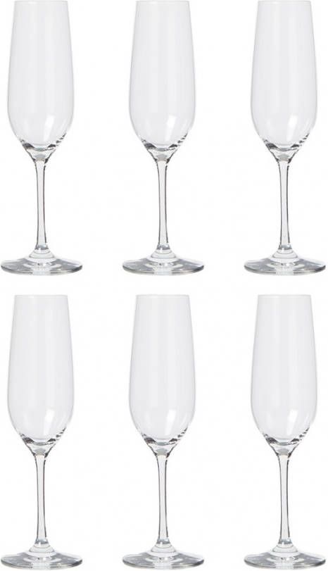 Schott Zwiesel Vina prosecco champagneglas 22 cl set van 6 online kopen