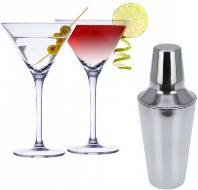 alpina Set Van 4x Martini Cocktailglazen Met Cocktailshaker Rvs Cocktailglazen