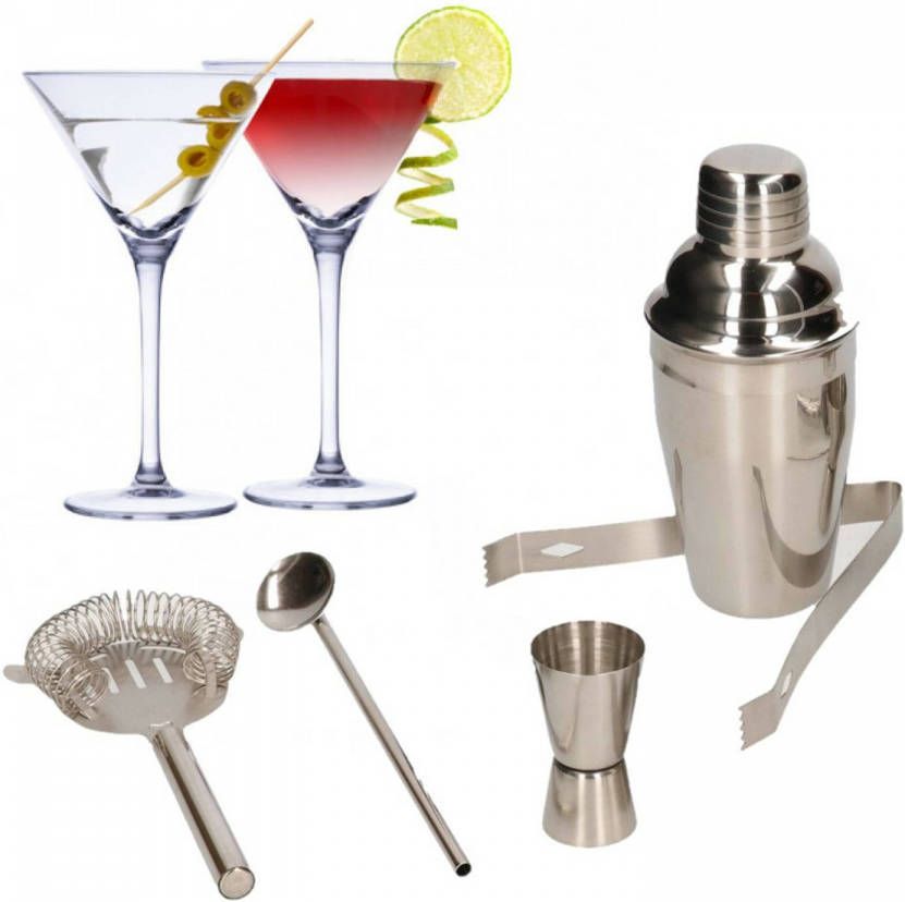 alpina Set Van 4x Martini Cocktailglazen Met Complete 5 delige Cocktailshaker Set Rvs Cocktailglazen