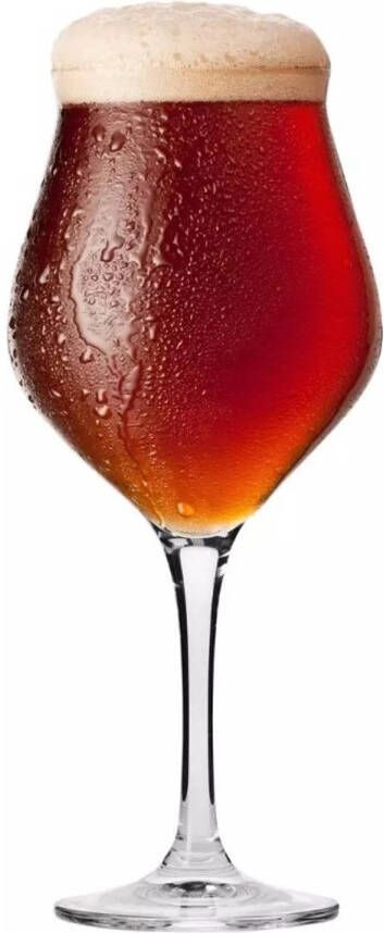 Krosno Bierglazen Speciaal Bier Teku 420 Ml 12 Stuks