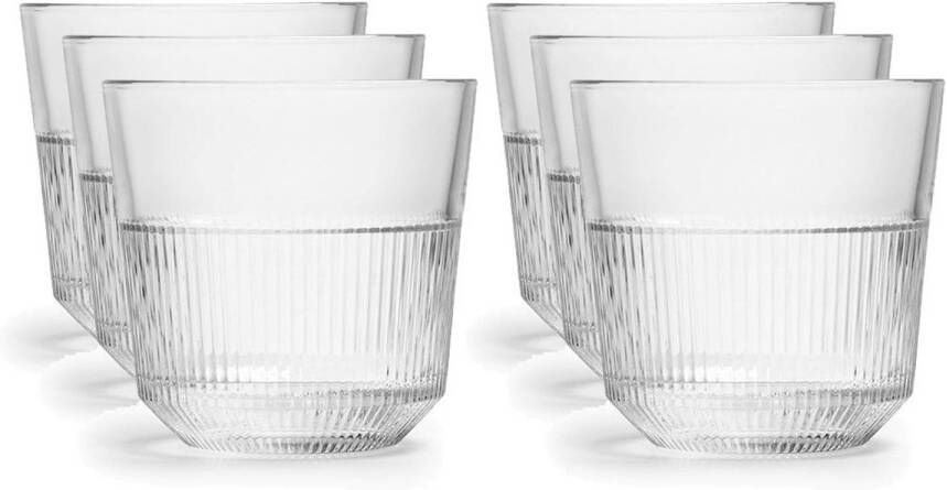 Royal Leerdam 12x Drinkglazen/waterglazen Transparant 270 Ml Rayo Drinkglazen
