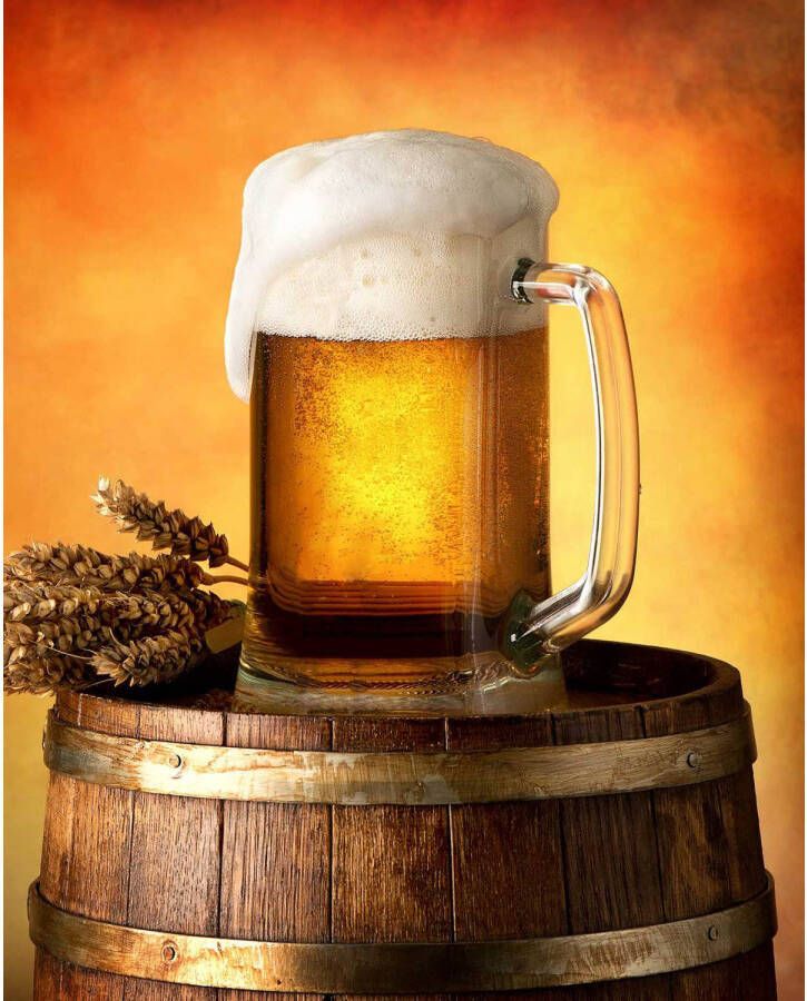 SimbaShop Bier Fleece Deken Bierpul 120 X 150 Cm Polyester