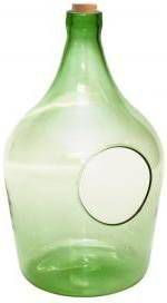 Esschert Design Open terrarium fles M 5L 19x19x33 cm groen