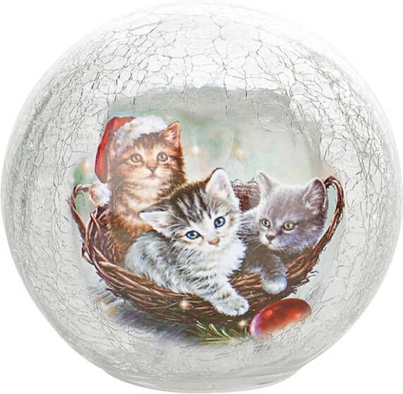 Schwartinsky Glazen kerstbal met ledverlichting Katten Multicolor